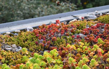 the cost of West Ashford green roof installation