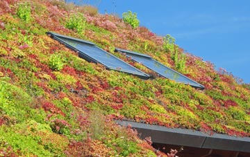 West Ashford living roof systems